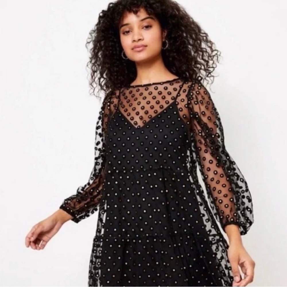 Ann Taylor Loft translucent polka dot dress